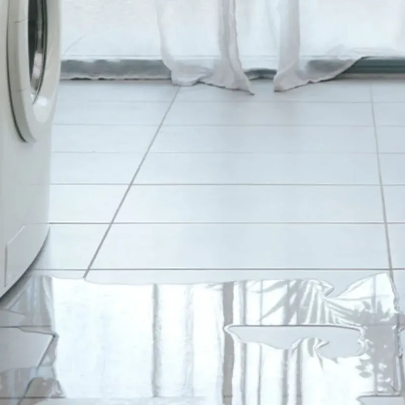 Appliance Leak Cleanup in Sullivan, IL