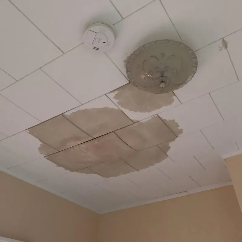 Ceiling Water Damage Repair in Sullivan, IL
