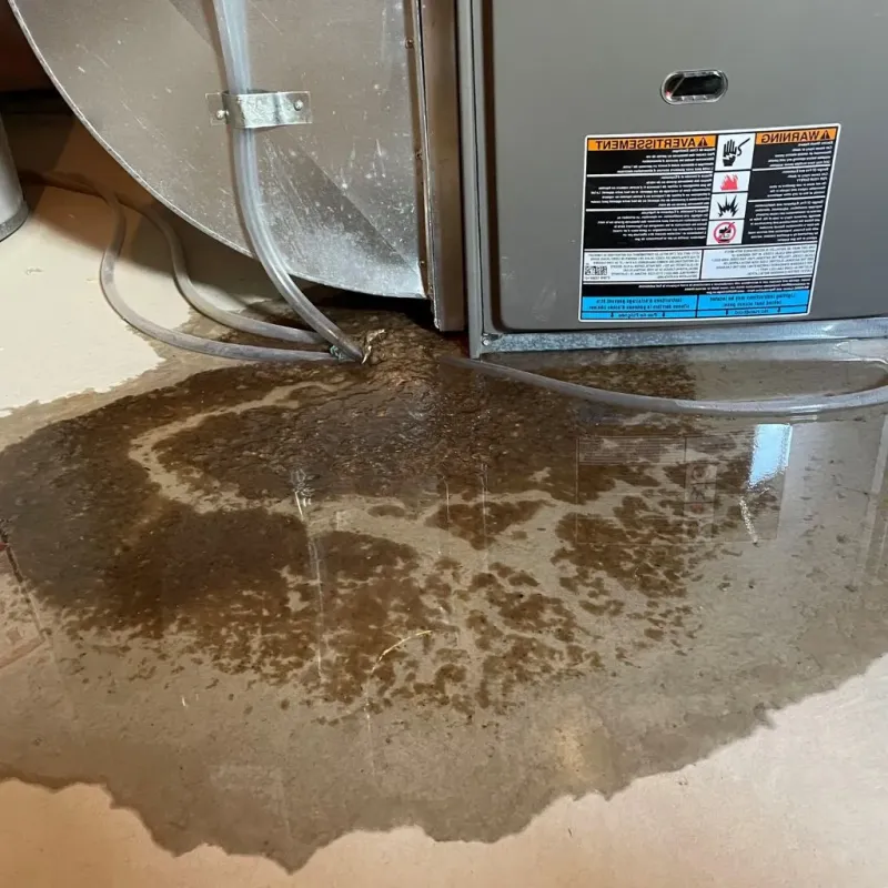 Pipe Burst and Leak Restoration in Sullivan, IL