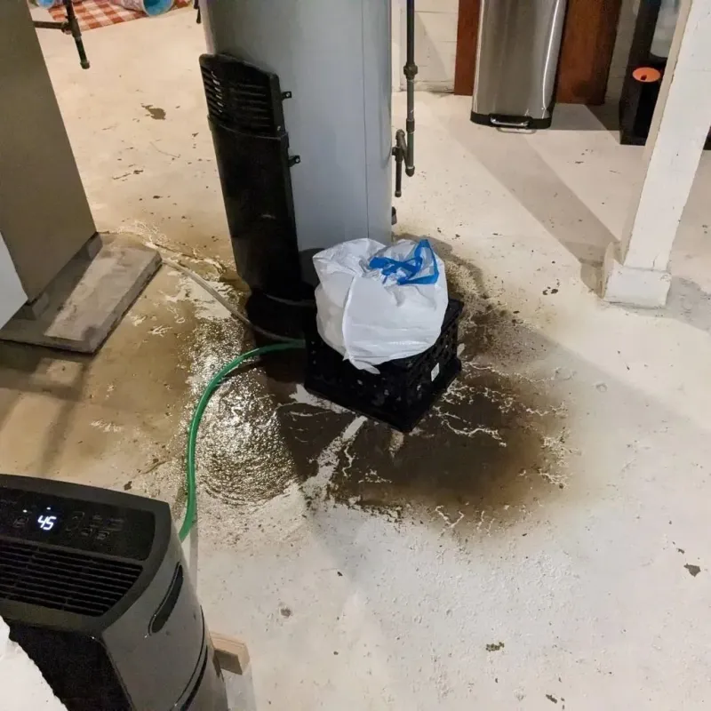 Sewage Backup Cleanup Service in Sullivan, IL